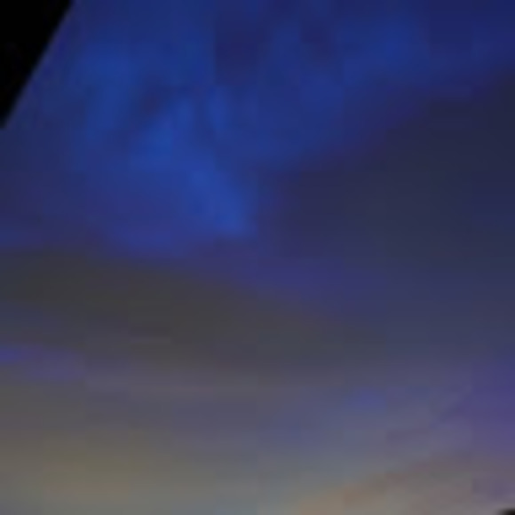 Meet your Posher, Dani - Picture 1 of 1